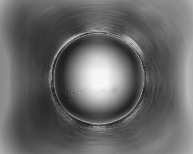 X0000096631052200802051103