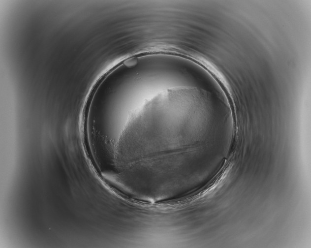 X0000096631053200802051103