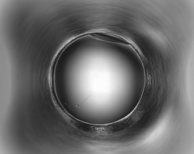 X0000096631054200802051103