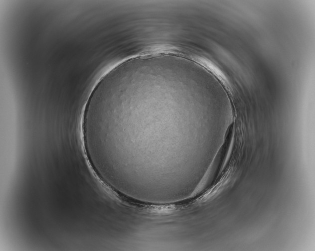 X0000096631055200802051103