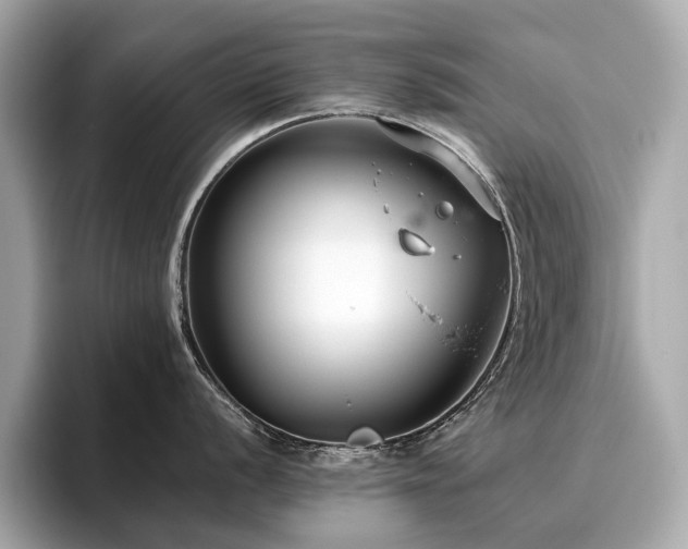 X0000096631056200802051103