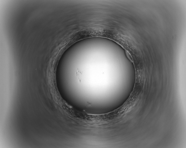 X0000096631057200802051102