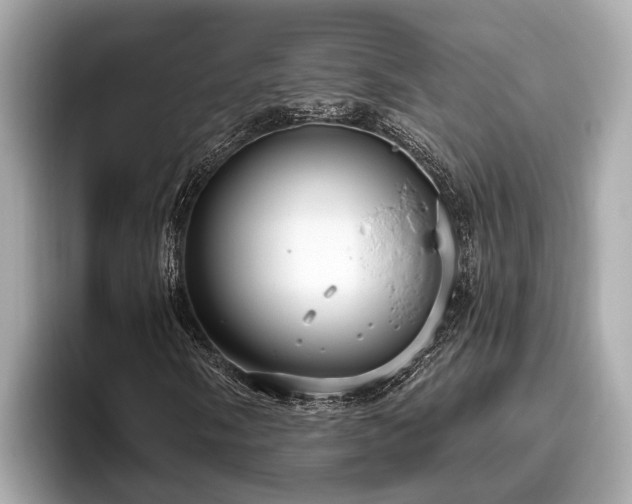 X0000096631058200802051102