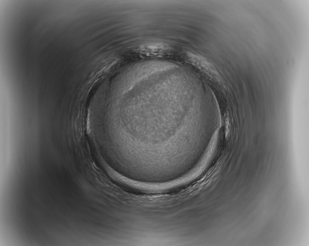 X0000096631060200802051102