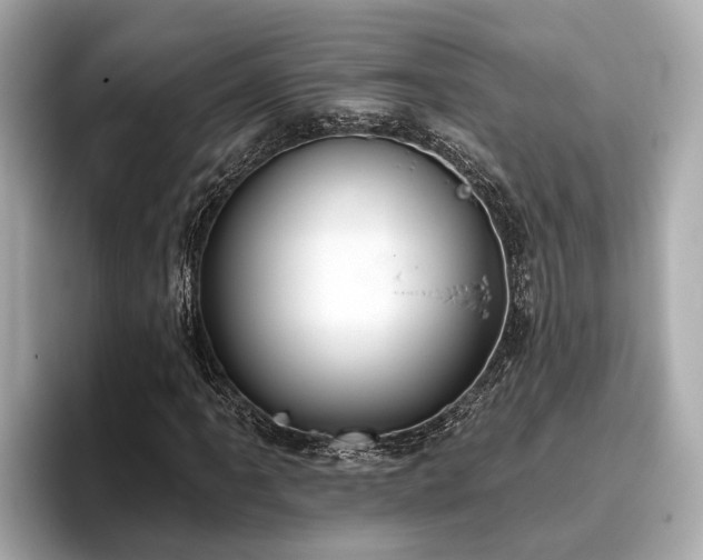 X0000096631061200802051102