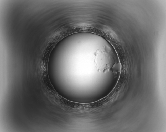 X0000096631062200802051102