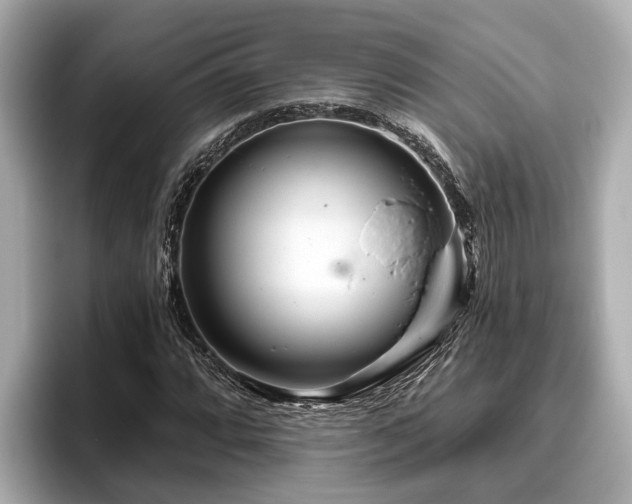 X0000096631064200802051102