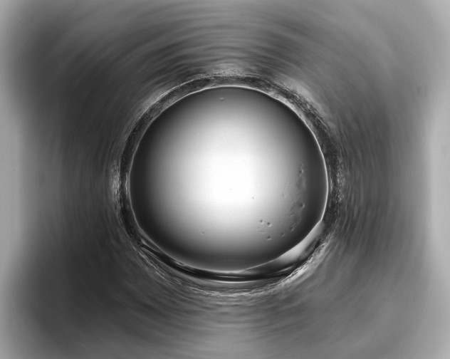 X0000096631065200802051102