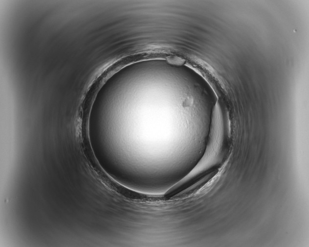 X0000096631066200802051102