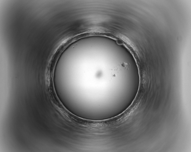 X0000096631067200802051102