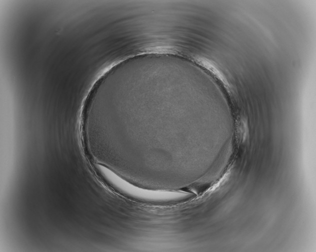 X0000096631071200802051102