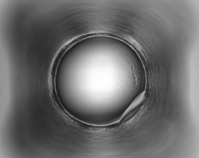 X0000096631072200802051102
