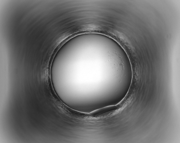 X0000096631073200802051102