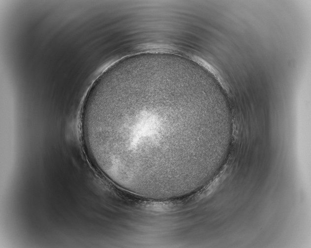 X0000096631074200802051102