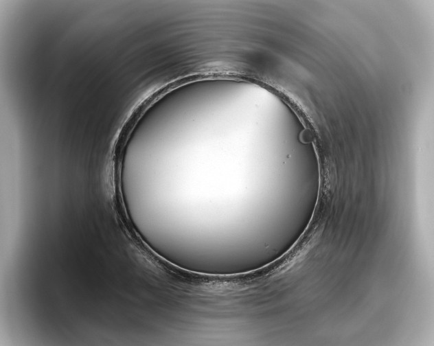 X0000096631075200802051102