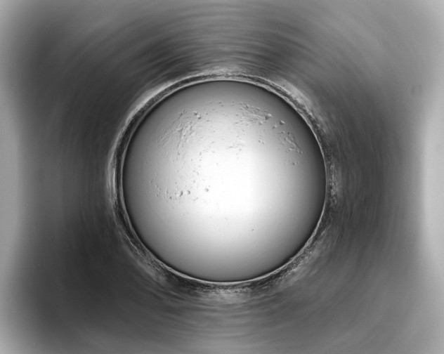 X0000096631078200802051102