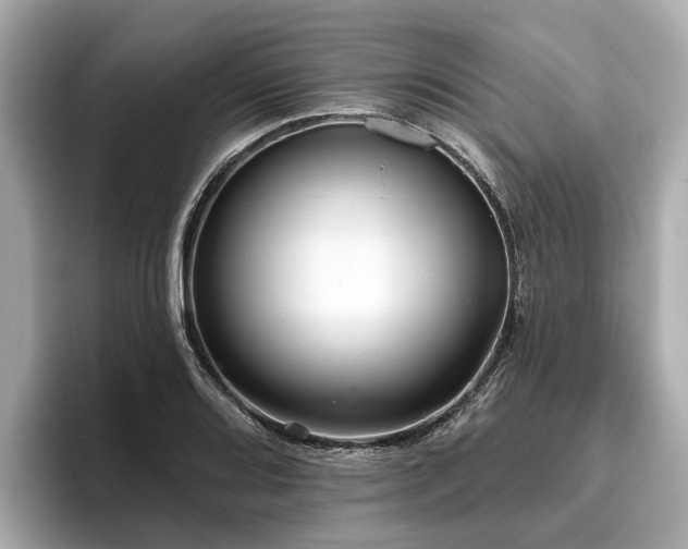 X0000096631080200802051102