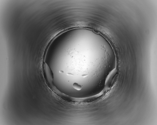 X0000096631081200802051102