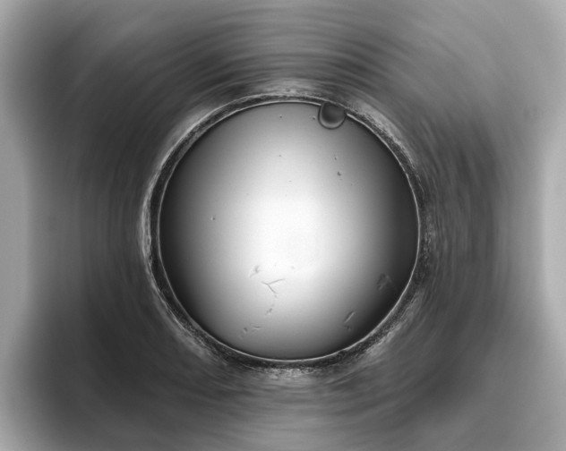 X0000096631082200802051102