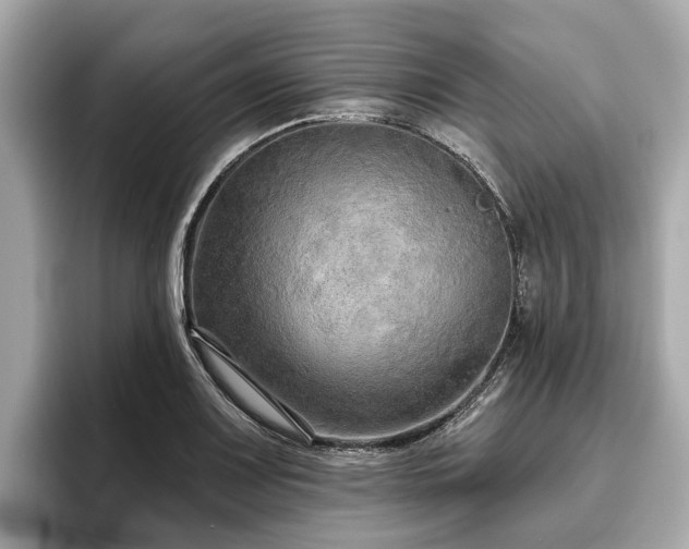 X0000096631083200802051102