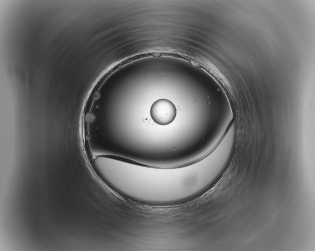 X0000096631084200802051102