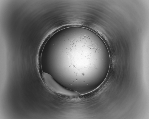 X0000096631085200802051102