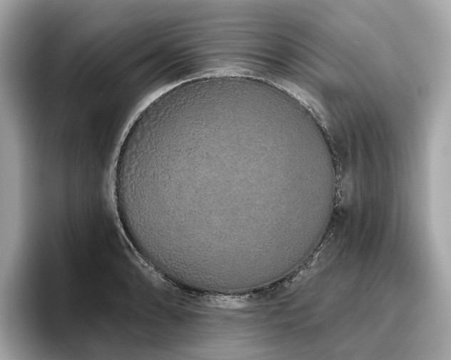 X0000096631086200802051102