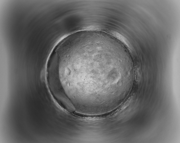 X0000096631087200802051102