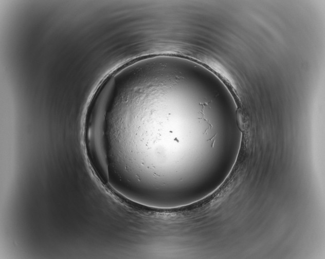 X0000096631088200802051102