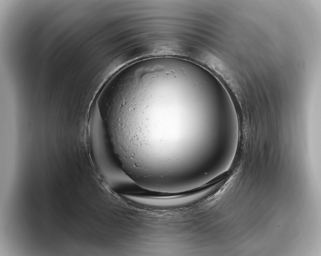 X0000096631089200802051102