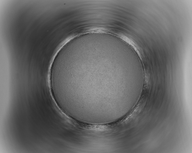 X0000096631090200802051102