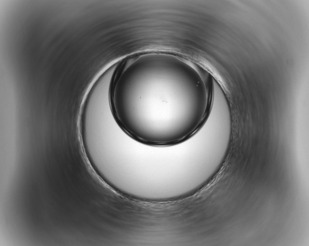 X0000096631092200802051102