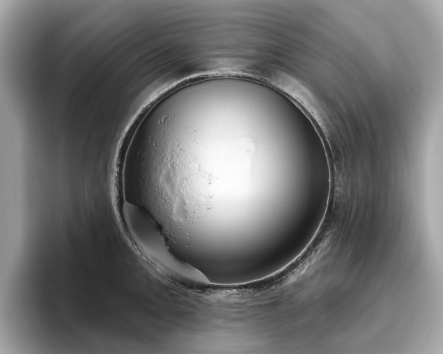 X0000096631093200802051102