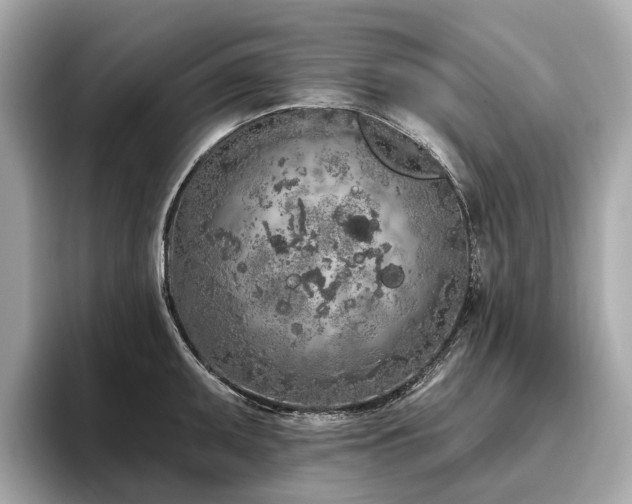 X0000096631095200802051101