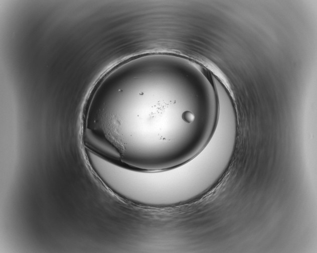 X0000096631096200802051101