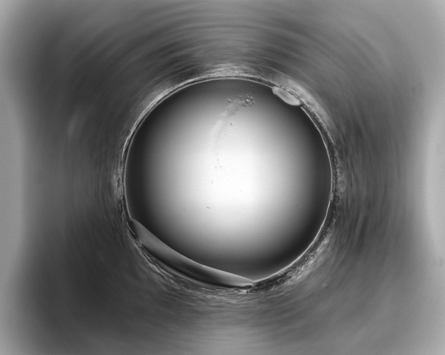 X0000096631097200802051101