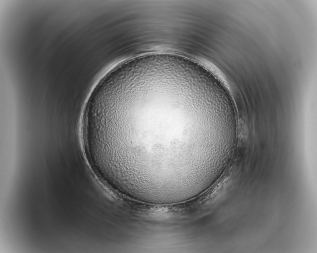 X0000096631098200802051101