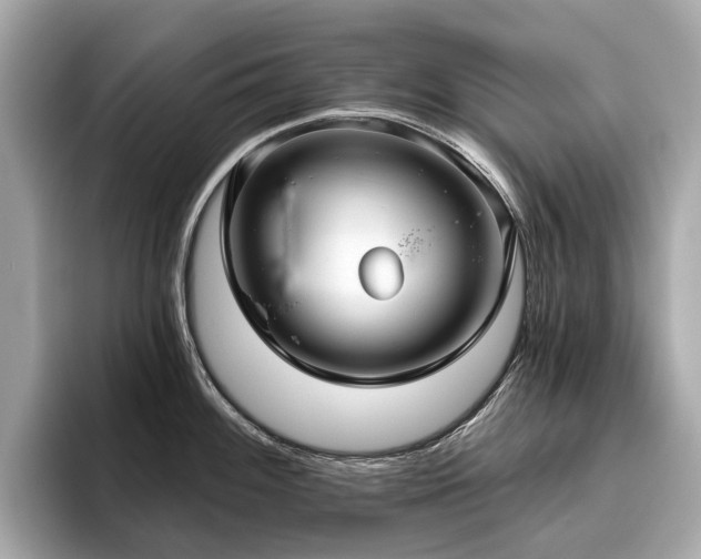 X0000096631100200802051101