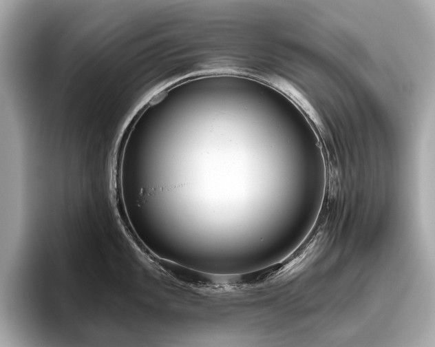 X0000096631101200802051101