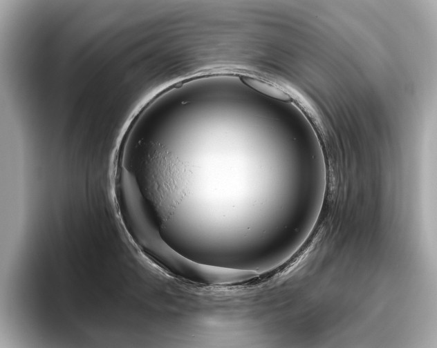 X0000096631102200802051101