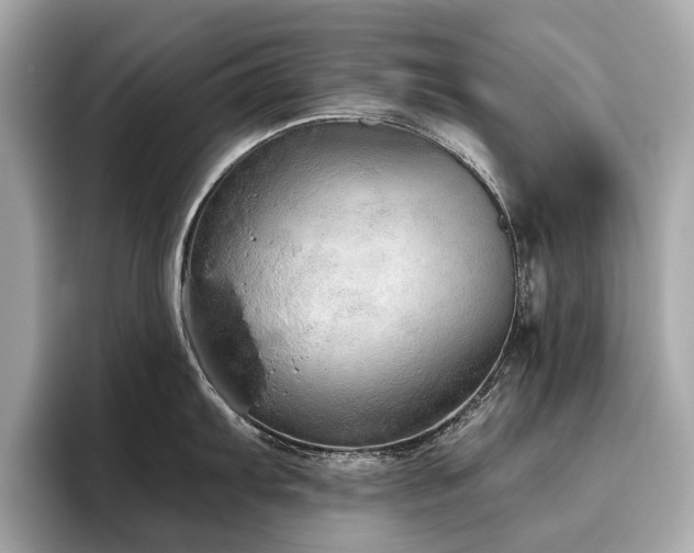 X0000096631103200802051101