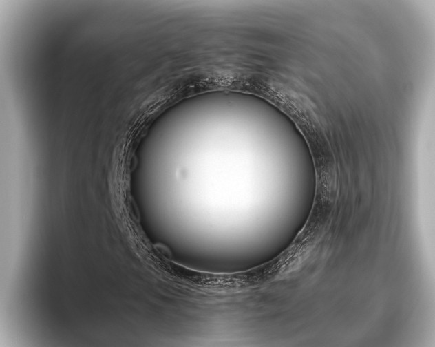 X0000096631105200802051101
