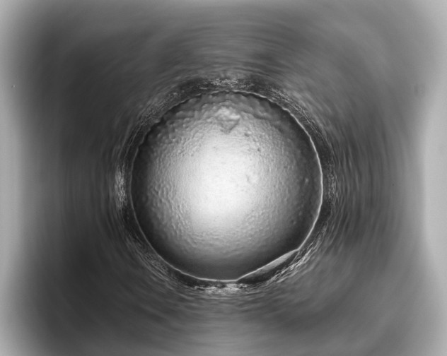 X0000096631106200802051101