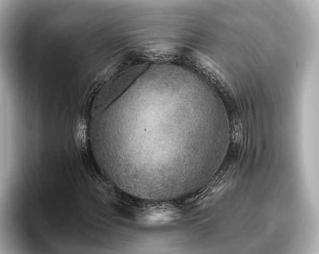 X0000096631108200802051101
