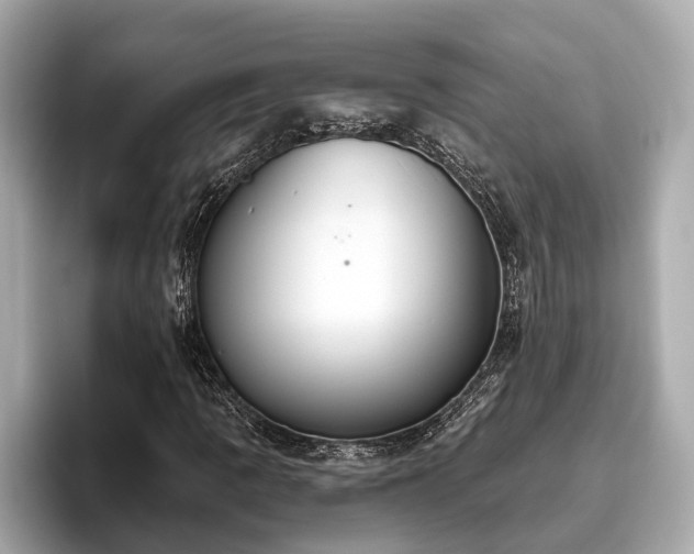 X0000096631109200802051101