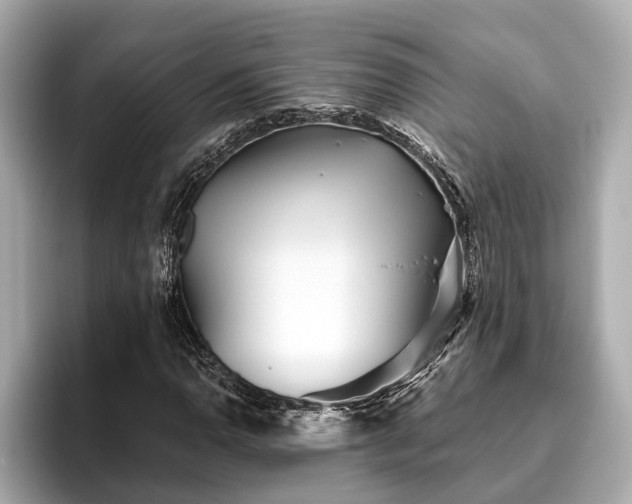 X0000096631110200802051101