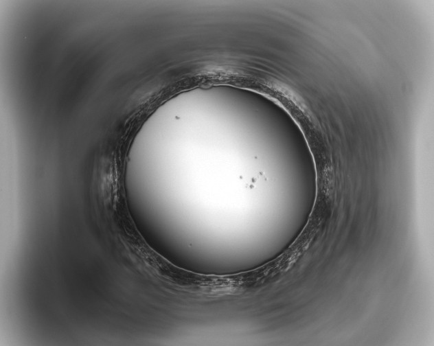 X0000096631111200802051101