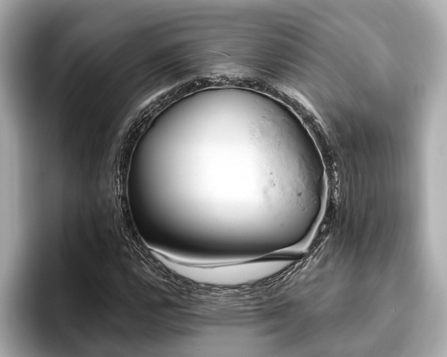 X0000096631112200802051101