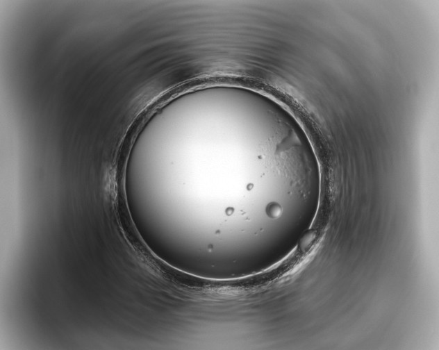 X0000096631113200802051101
