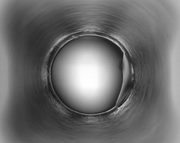 X0000096631115200802051101